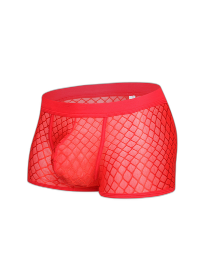 2 Pack Men's Sexy Transparent Mesh Trunks