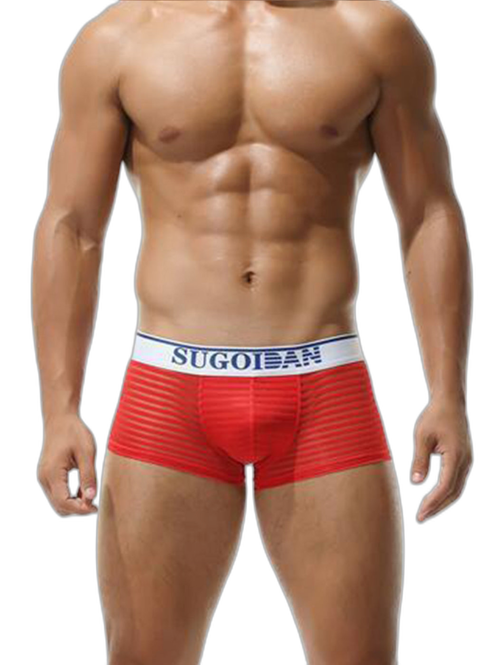 Men's Sexy Transparent Striped Trunks