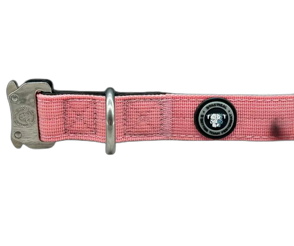 2.5cm Tactical Collar Pink