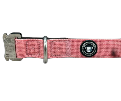 2.5cm Tactical Collar Pink