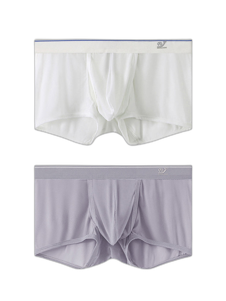 2 Pack Men's Breathable Mesh Trunks with Fly