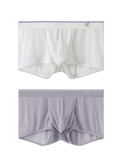 2 Pack Men's Breathable Mesh Trunks with Fly