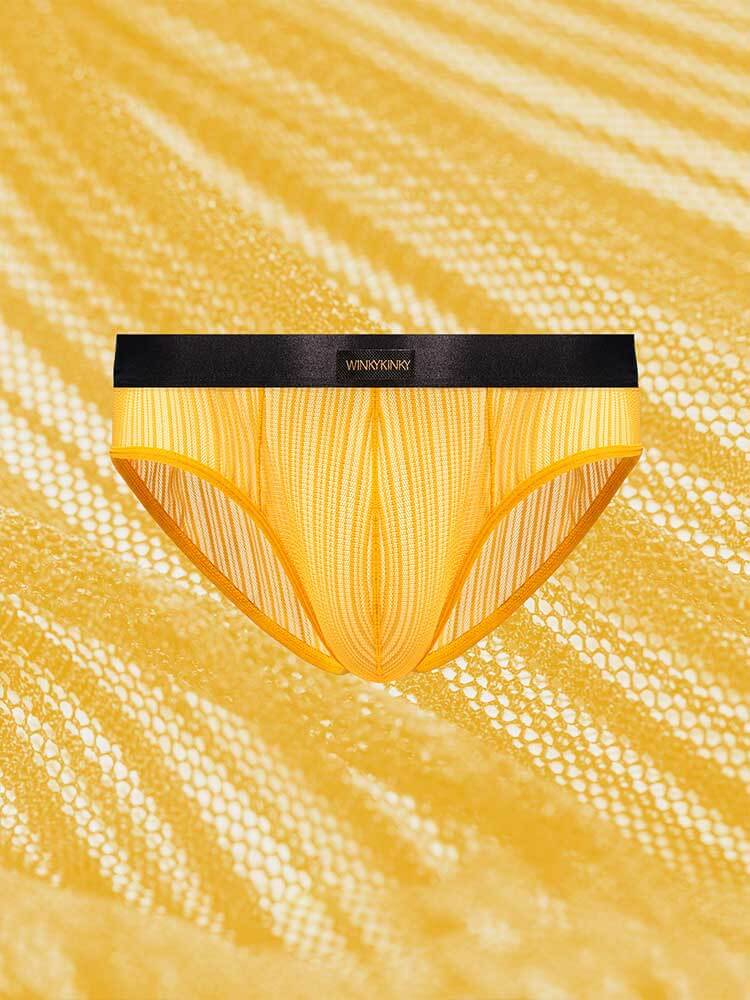 Men's Low-Rise Sexy Sheer Lace Breathable Briefs