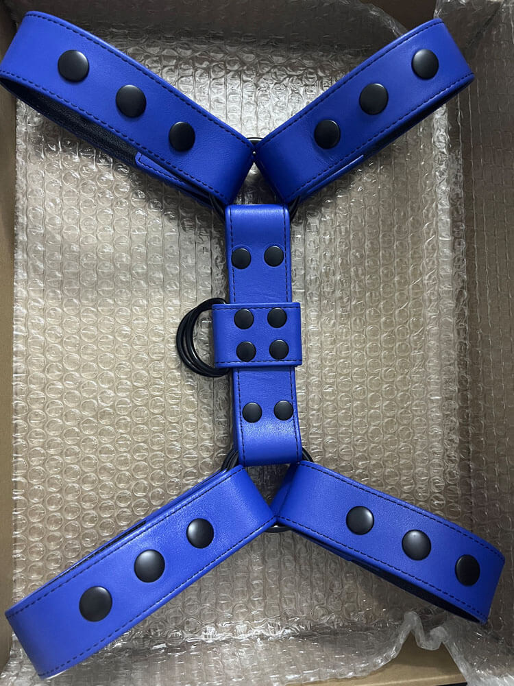 Men's Tight Genuine Leather Bulldog Harness