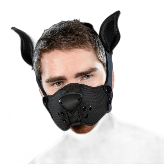 Mr S Leather Neoprene K9 Kit Black