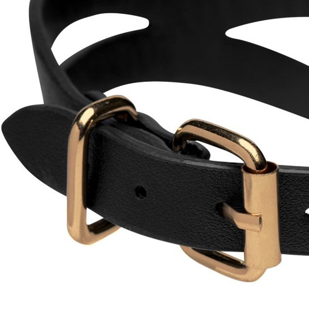 Black and Gold Collar with Leash Kit