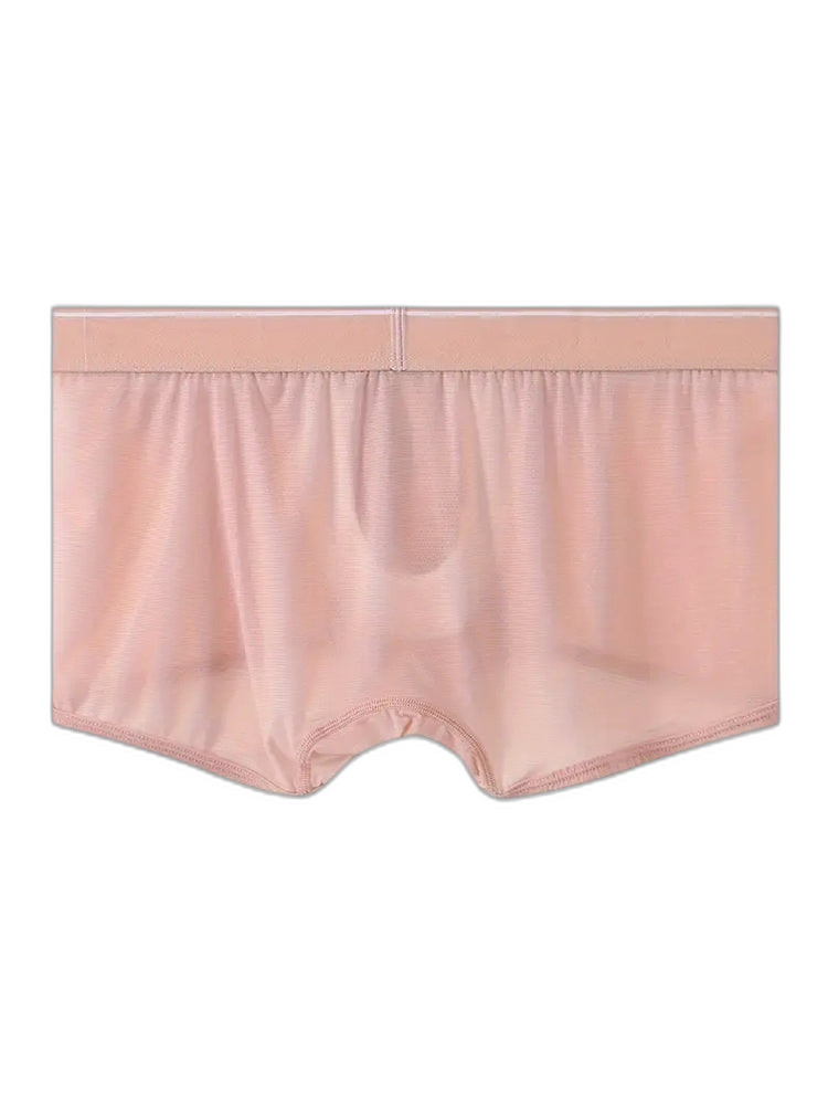 2 Pack Men's Breathable Mesh Trunks with Fly