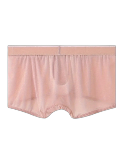 2 Pack Men's Breathable Mesh Trunks with Fly