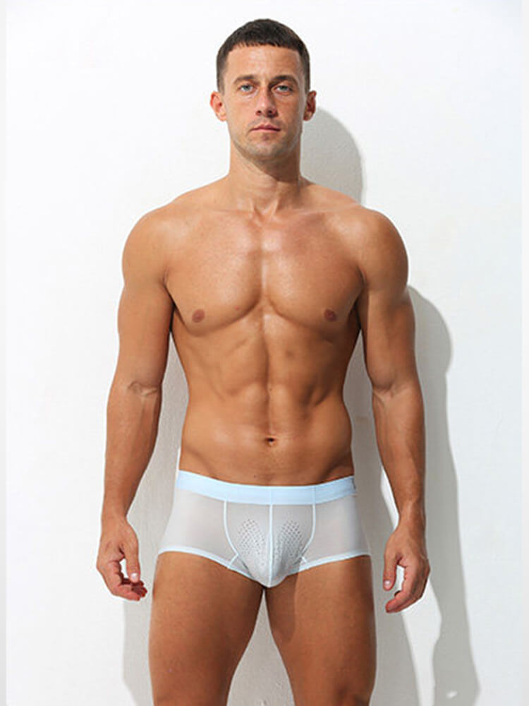 Men's Sexy Ultra-Thin Mesh Ice Silk Boxer Briefs
