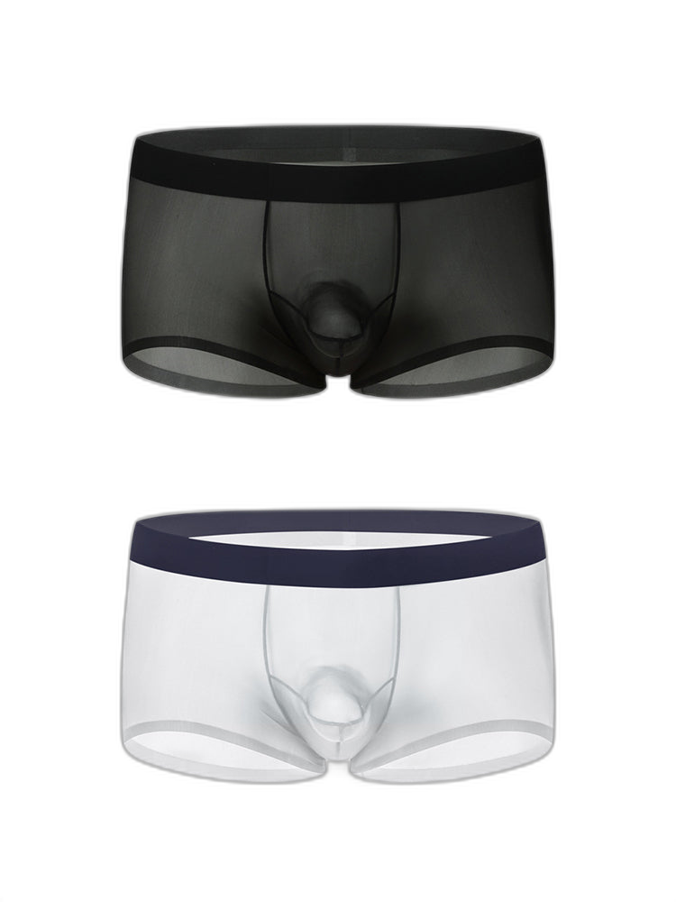 2 Pack Men's Ice Silk Separated Pouch Breathable Stretch Fit Trunks