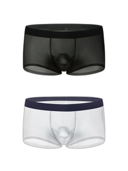 2 Pack Men's Ice Silk Separated Pouch Breathable Stretch Fit Trunks