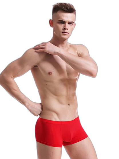 Thin Breathable Ice Silk U Convex Boxers for Men