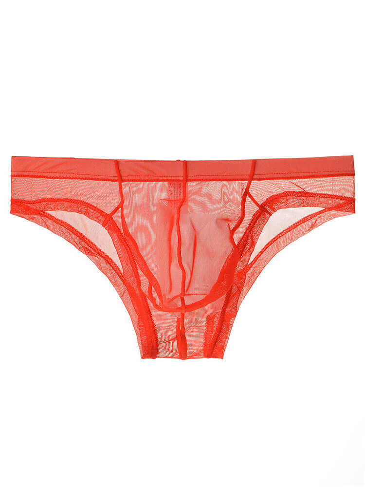 Men's Sexy Sheer Mesh Pouch Breathable Briefs