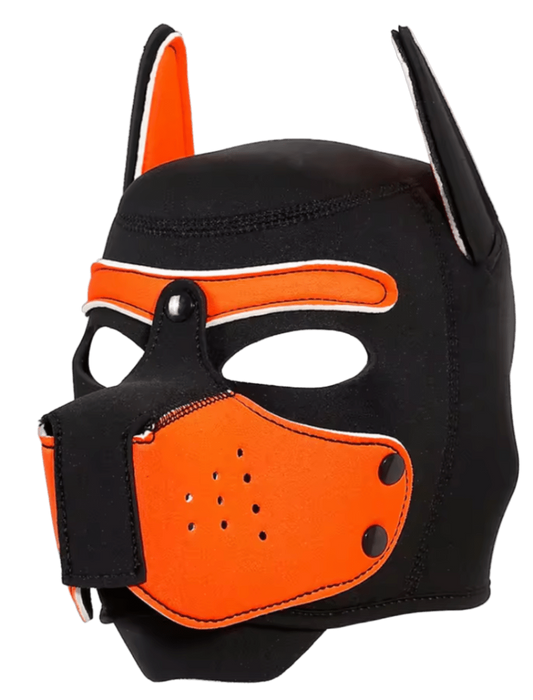 Puppies First Hood Orange