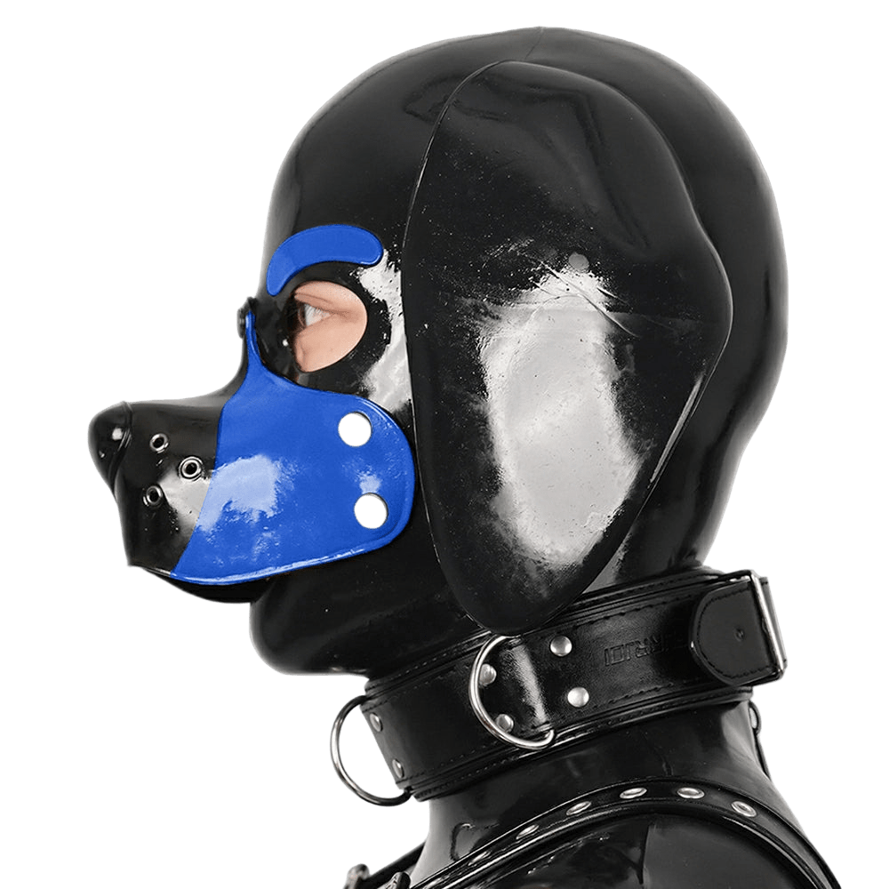 Furrjoi Silicone Beagle Hood Blue
