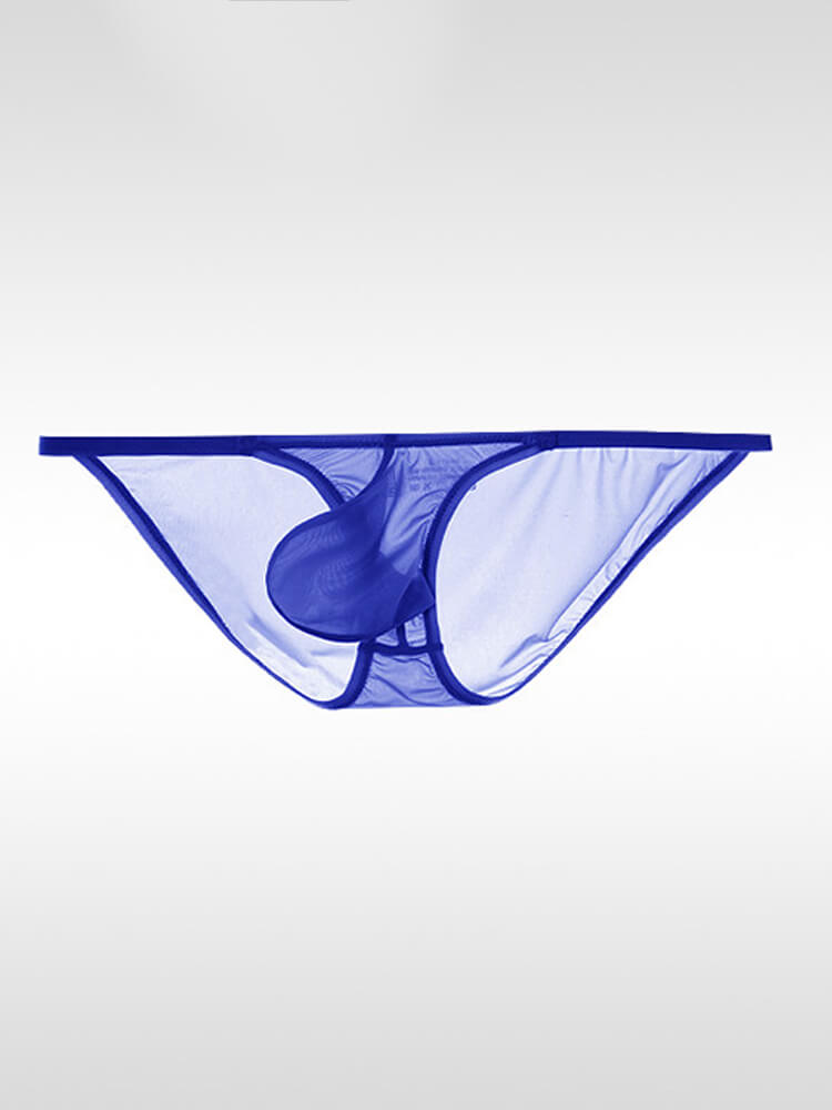 Men's Sexy Sheer Low-Rise Pouch Ultra-Thin Briefs