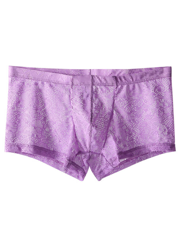 Men's Low-Rise Sexy Lace See-Through Boxer Briefs