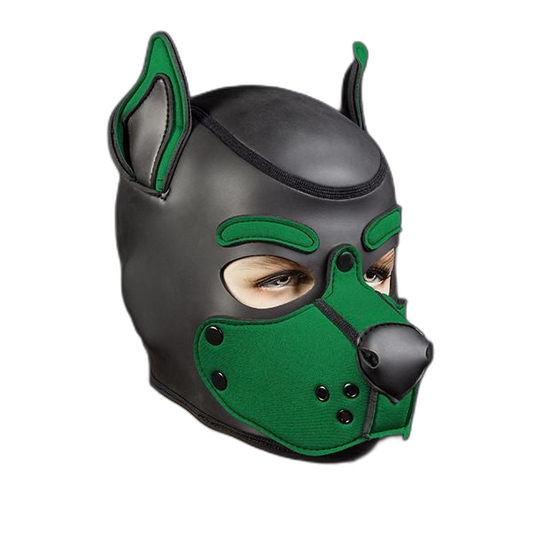 Mr S Leather Neoprene K9 Puppy Hood | Black/Hunter Green