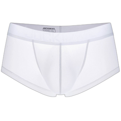 Transparent Silky Boxer Briefs