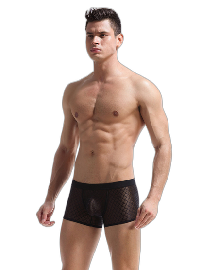 2 Pack Men's Sexy Transparent Mesh Trunks