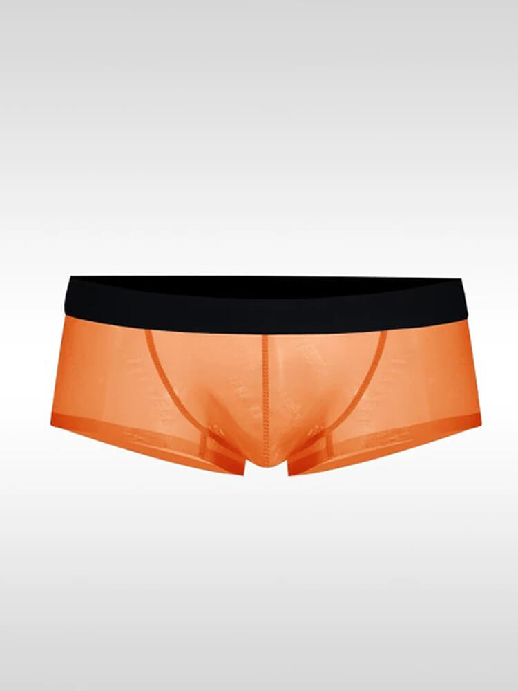 Men's Ultra-Thin Sexy Sheer High-Cut Underwear