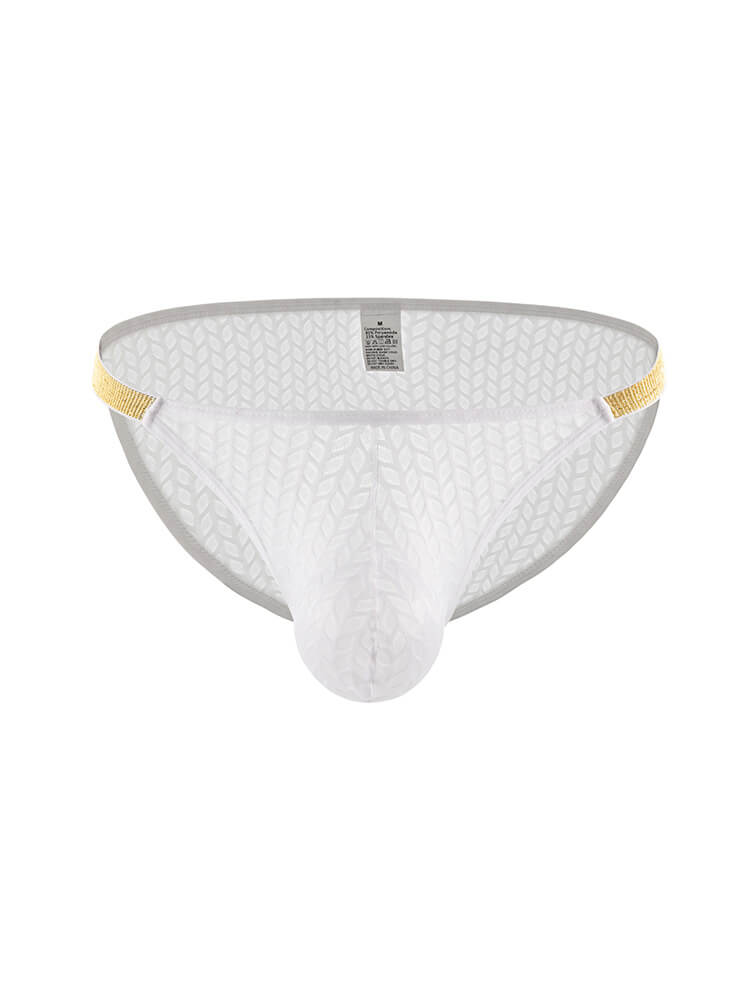 Men's Sexy High-Cut Low-Rise Mesh Nylon Briefs