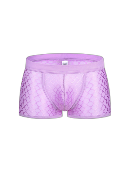 2 Pack Men's Sexy Transparent Mesh Trunks