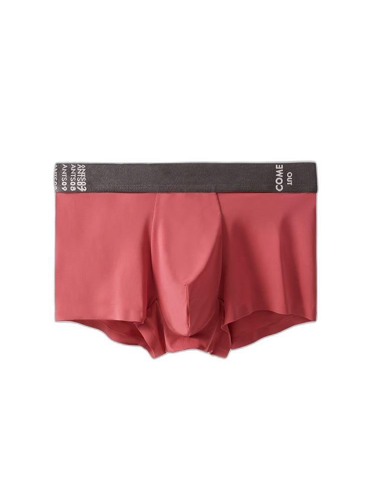2 Pack Men's Premium Ultra-Thin Seamless Ice Silk Stretch Fit Trunks