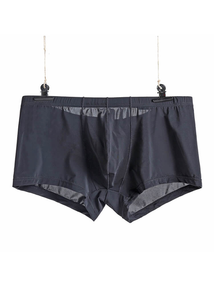 Men's Sexy Low-Rise Thin Transparent Boxer Briefs