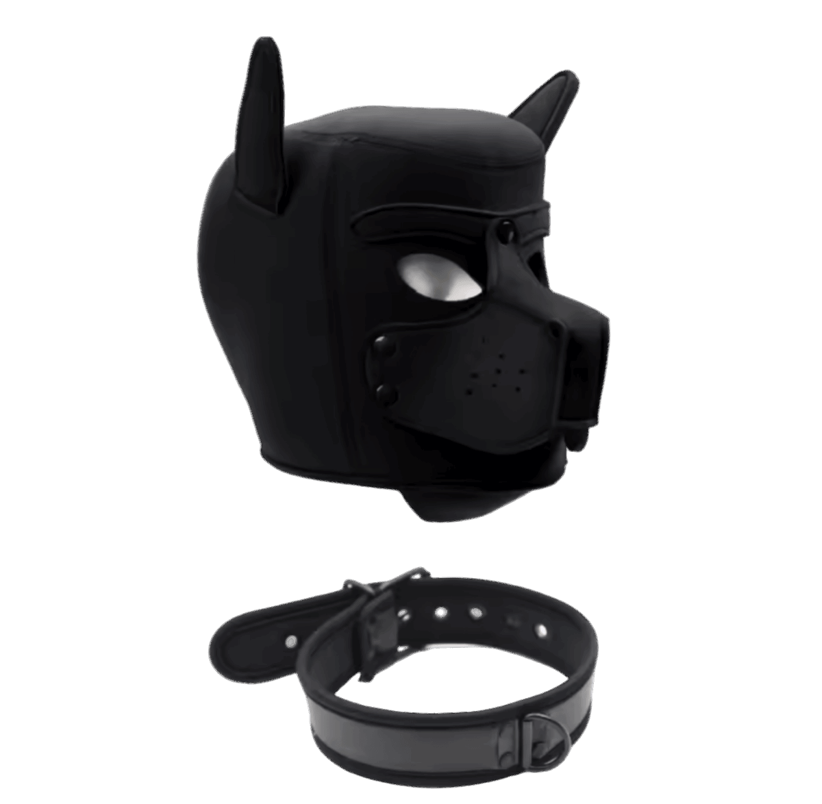 Pup Starter Kit Purple