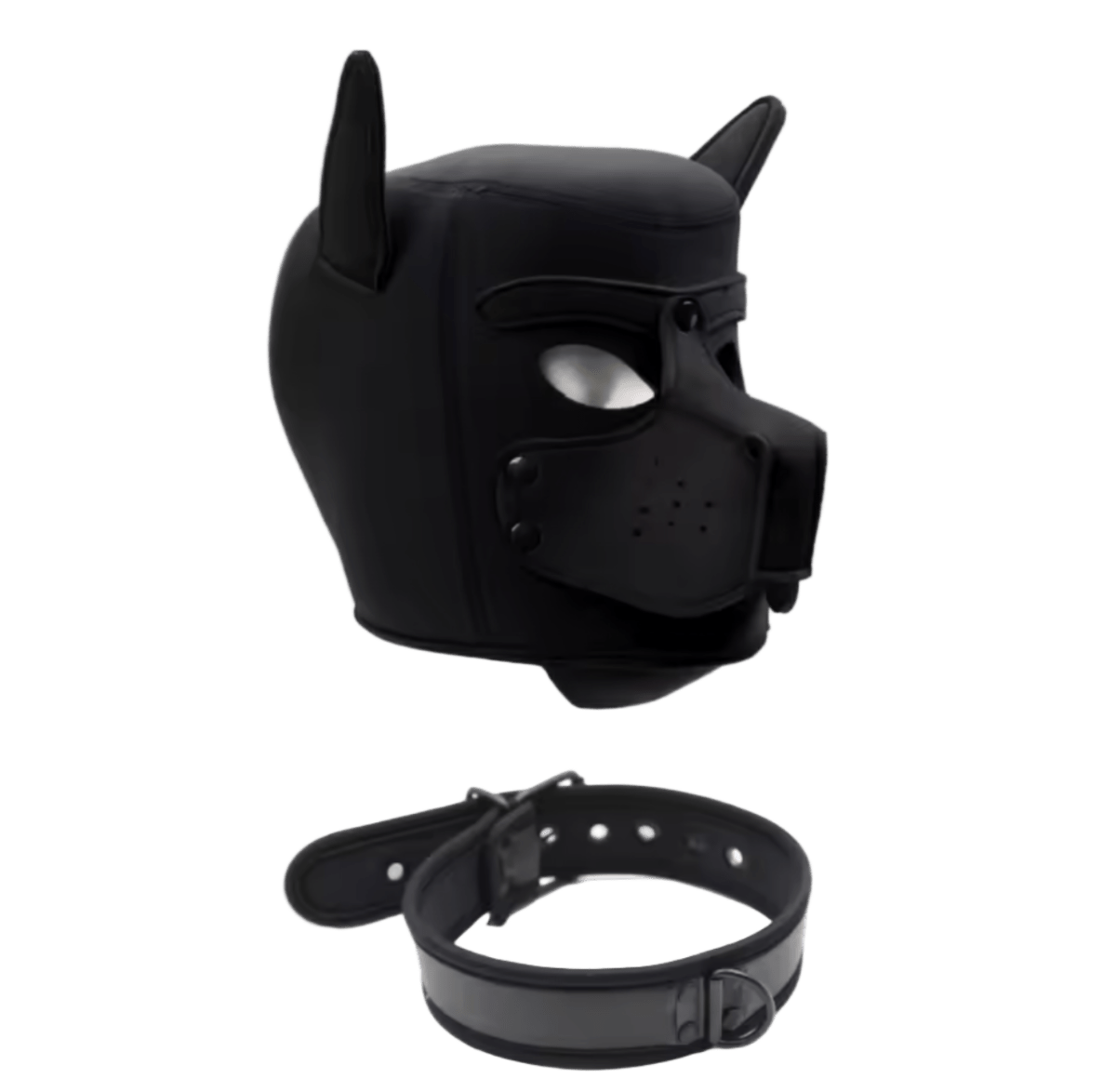 Pup Starter Kit Purple