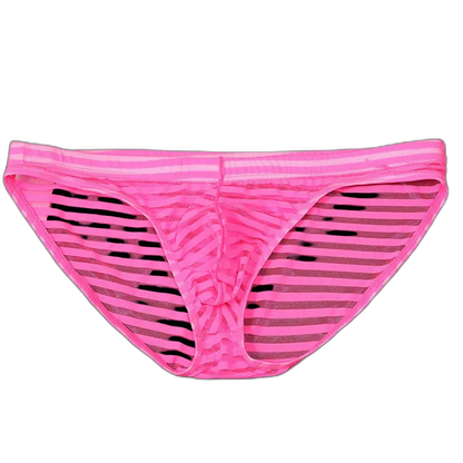Striped Transparent Briefs