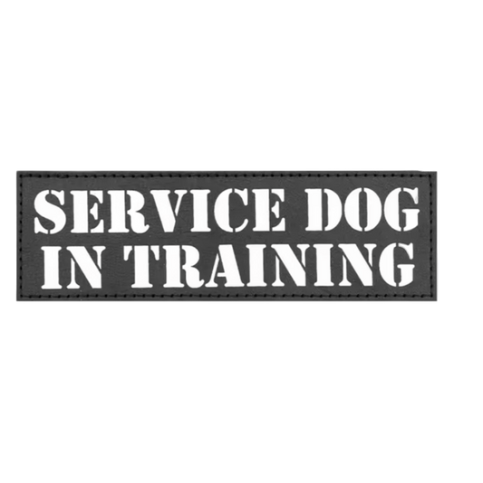 Service Dog In Training Patch 16cm x 5cm