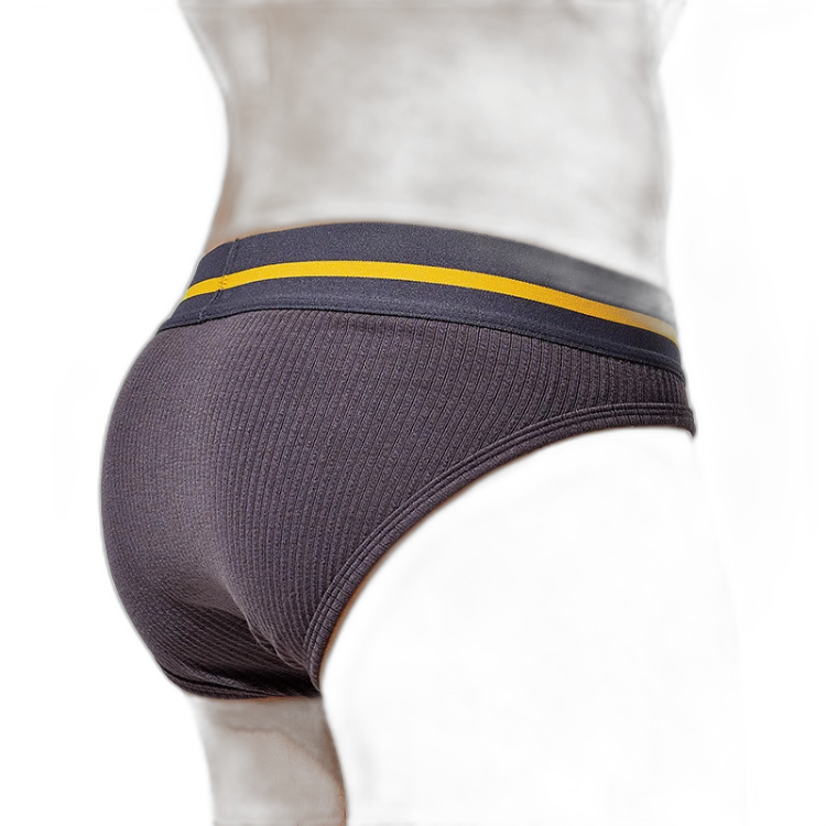 Tauwell Retro Era Briefs