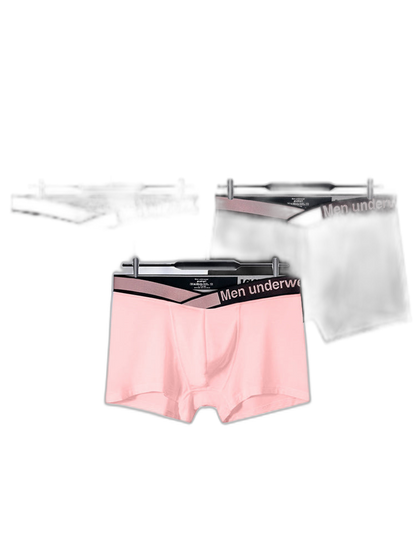 2 Pack Men's Modal Breathable U-Pouch Trunks