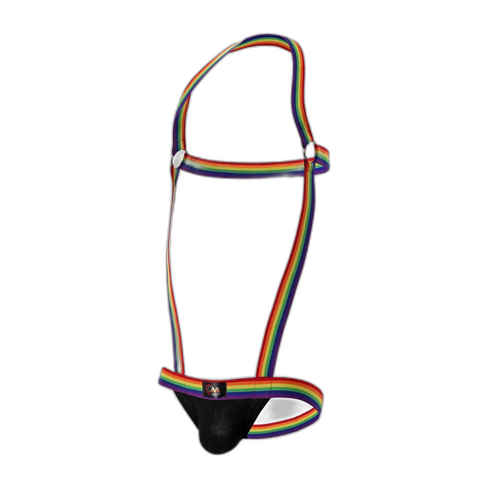 Rainbow Pride Suspender Underwear Outfit