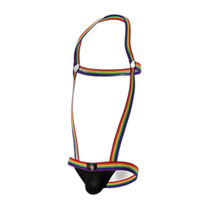 Rainbow Pride Suspender Underwear Outfit