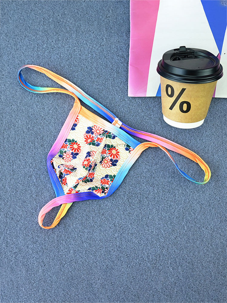 Men's Rainbow Thin Strap Printed U-Pouch Thong