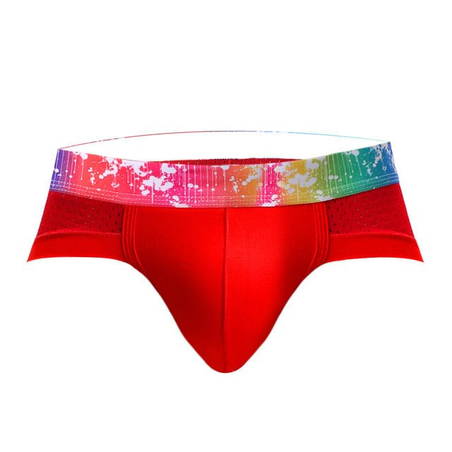 Rainbow Band Mesh Briefs