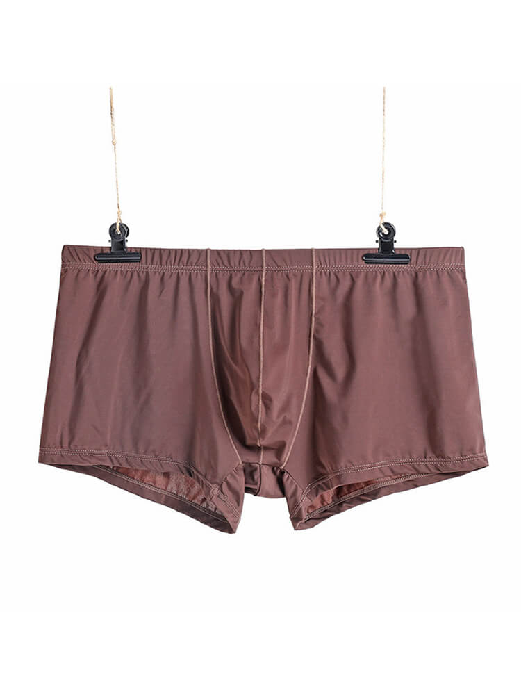 Men's Sexy Low-Rise Thin Transparent Boxer Briefs