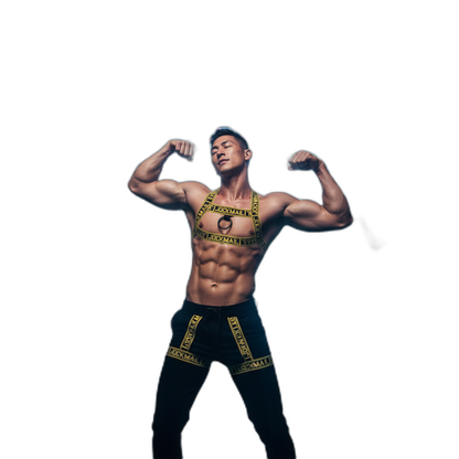 Jockmail Elastic Body Chest Harness