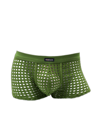 2 Pack Men's Hollow Mesh Sexy Trendy Moisture-Wicking Trunks