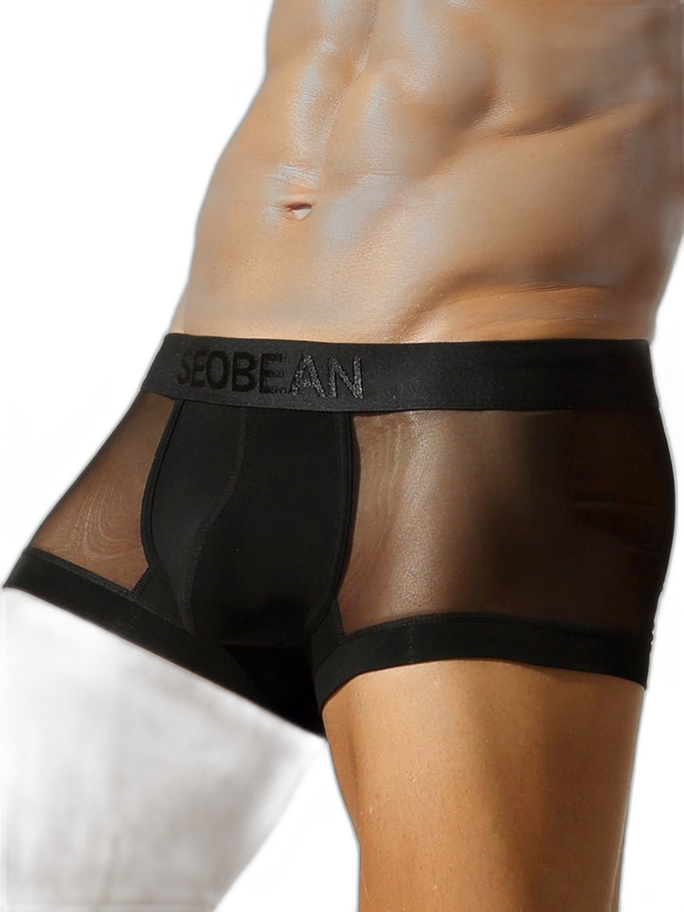 2 Pack Men's Stay-Put Fit Lightweight & Airy Solid Color Semi-Transparent Trunks