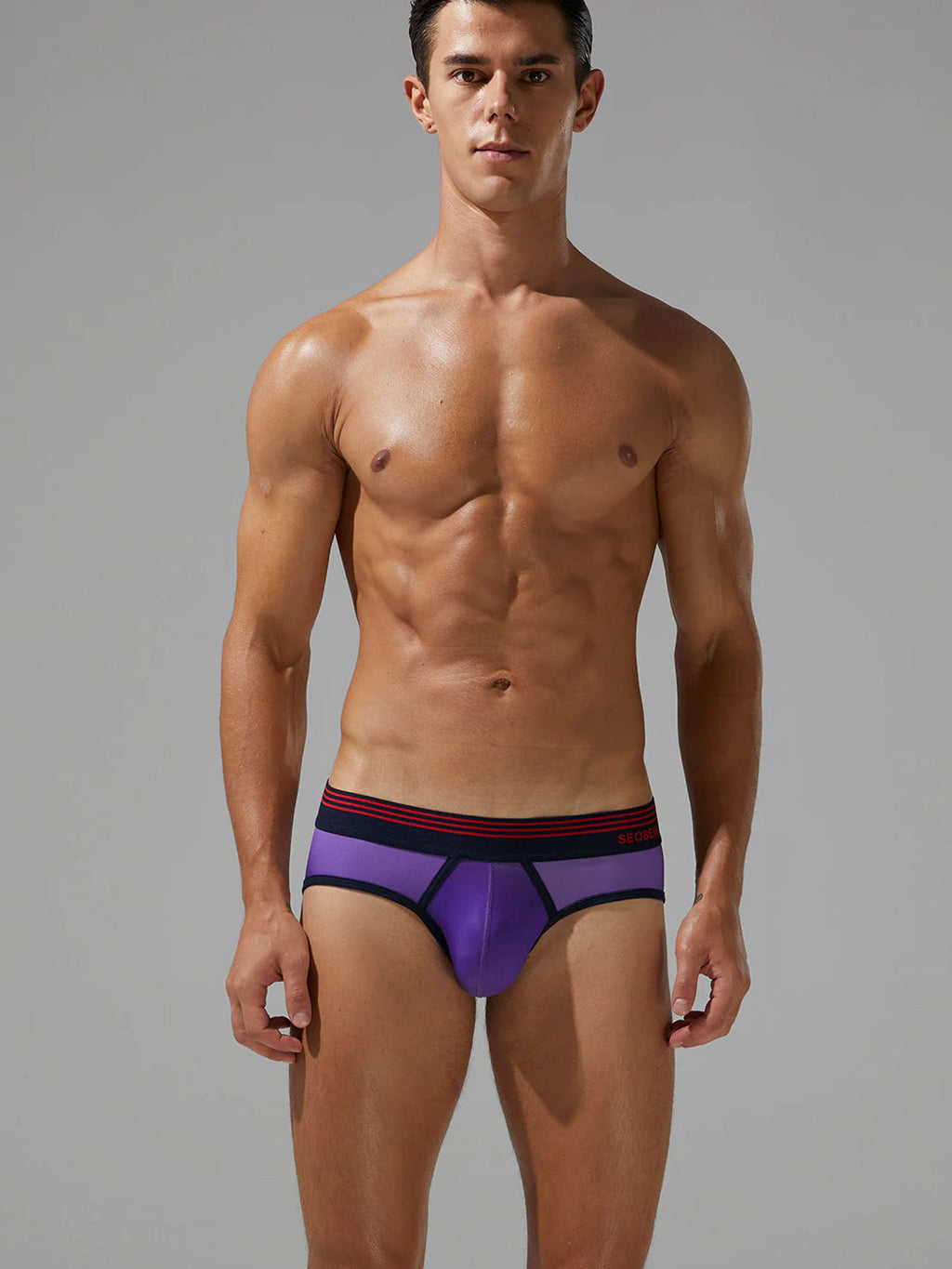 Men’s Spliced Lines Briefs in Ombre