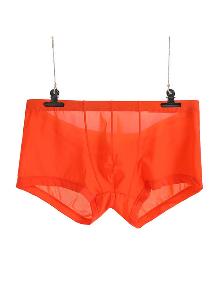 Men's Sexy Low-Rise Thin Transparent Boxer Briefs