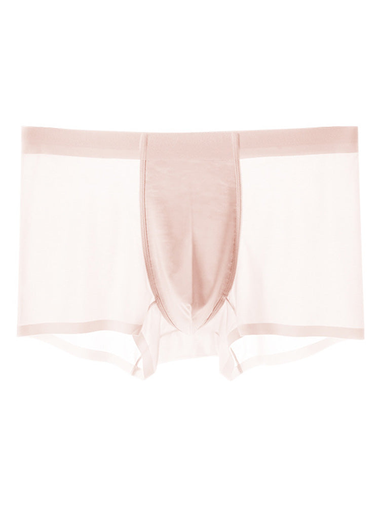 Men's Ice Silk Quick Dry Nylon Trunks