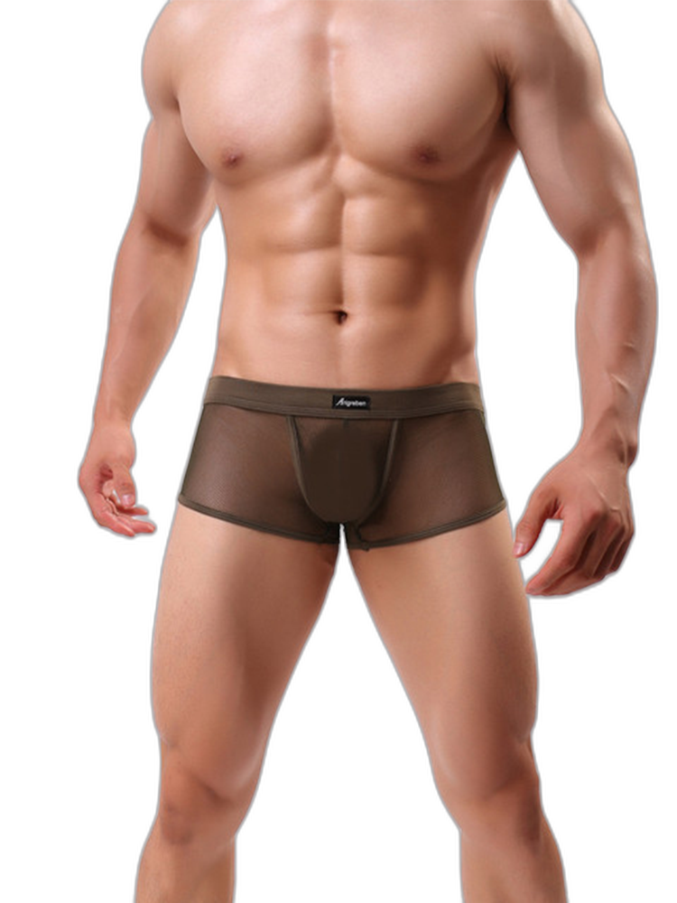 Men's Sexy Transparent Mesh Trunks