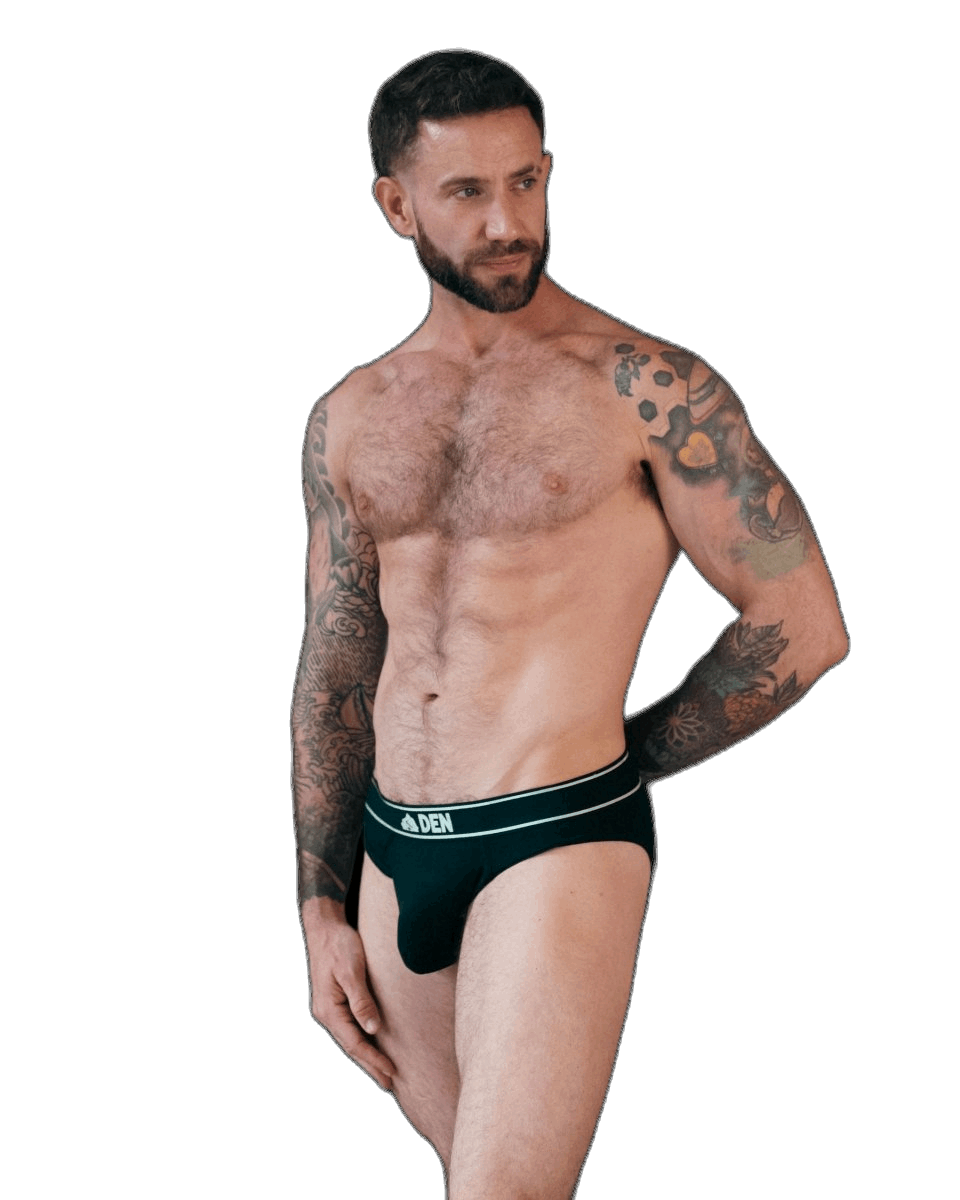 DEN Hybrid Brief - Black