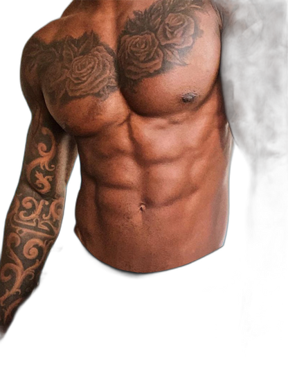 3 Pack Sexy Sheer Low-Rise Men's Bikini