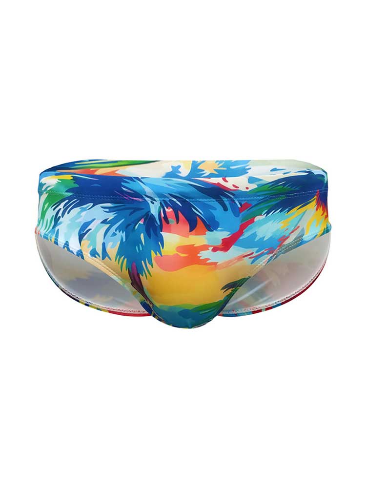 Men's Ink-Art Beach Sunset Print Swim Briefs
